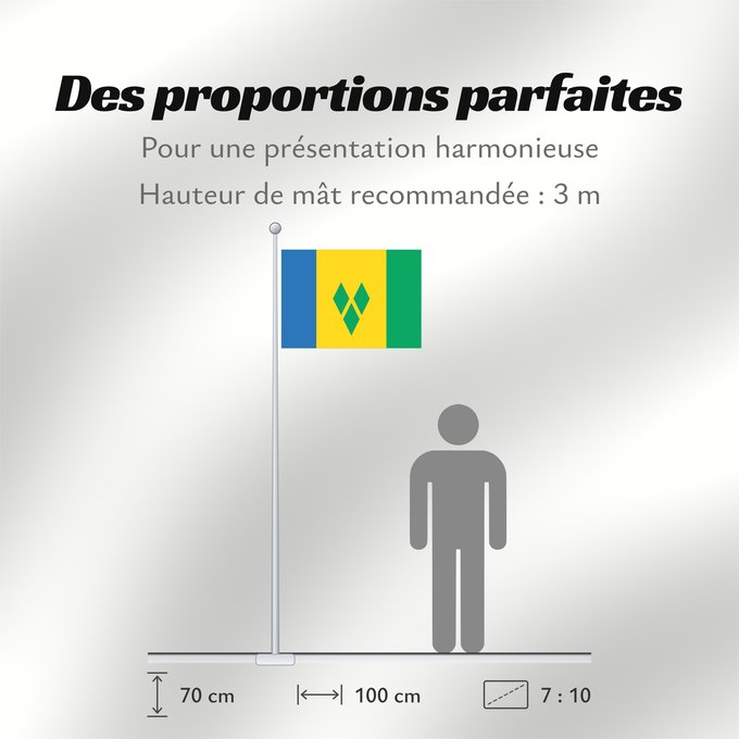 Proportions du drapeau : Saint Vincent and the Grenadines	Saint-Vincent-et-les Grenadines	San Vicente y las Granadinas	St. Vincent und die Grenadinen	Saint Vincent e Grenadine	Флаг Сент-Винсента и Гренадин	Saint Vincenta in Grenadin