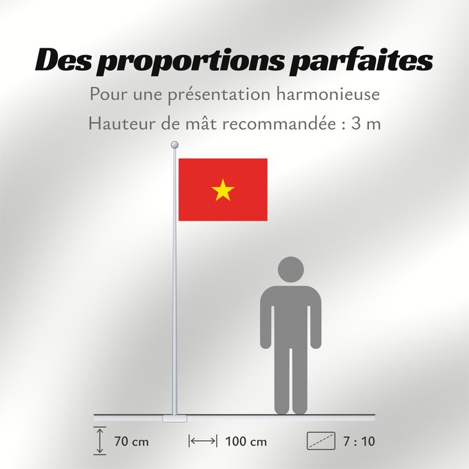 Proportions du drapeau : Vietnam	Viêt Nam	Vietnã	Vo Vietnam	علم فيتنام	Vietnamu	Σημαία του Βιετνάμ	Vjetnamio	​越南國旗	​Ye̍t-nàm koet-khì	Vijetnama	越南の国旗 / ベトナムの国旗	Vietnam bayrağı / Вьетнам байрағы	越南의 國旗 / 베트남의 국기	Vietnam tuusu / Вьетнам туусу	ທຸງຊາດຂອງປະເທດຫວຽດນາມ	​越南之旗	Вьетнам төр