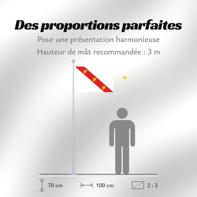 Proportions du drapeau : Elba Elba (Napoleonic) Elbe (Napoléonienne) Elba (Napoleónica) Elba (Napoleonisch) Napoleonica dell Isola d Elba