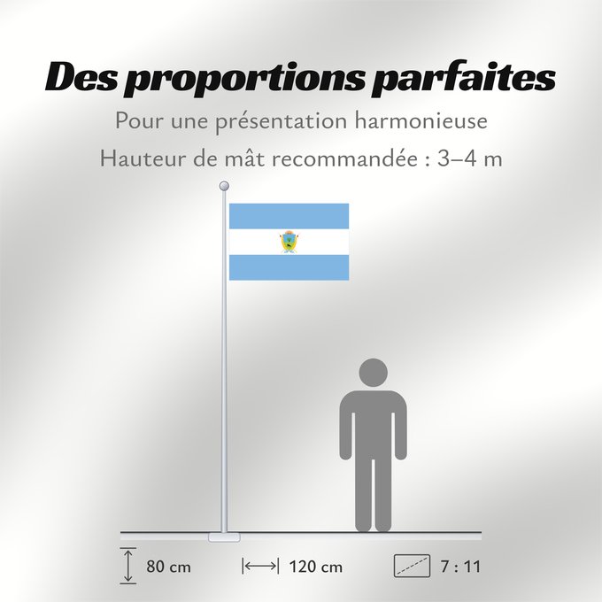 Proportions du drapeau : Provincia de La Pampa	La Pampa Province of Argentina	province de La Pampa	Provinz La Pampa	Provincia di La Pampa