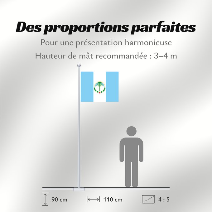 Proportions du drapeau : Neuquén