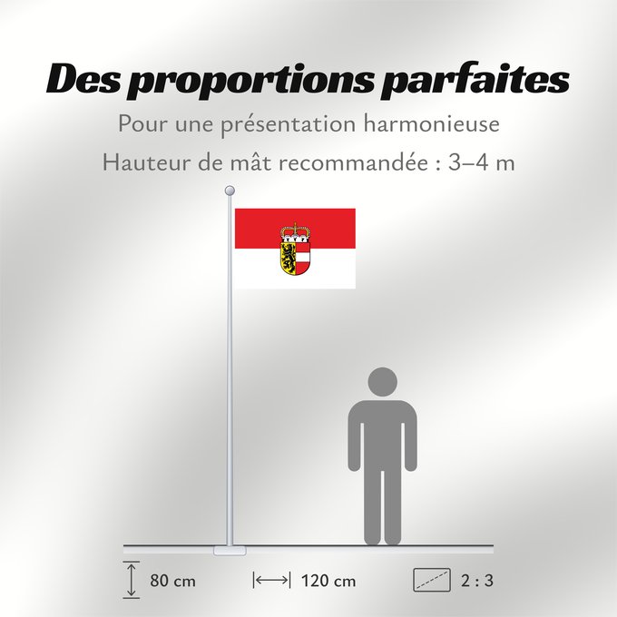 Proportions du drapeau : Salzburg Salzburg (state) Salzbourg Salzburgo Salisburgo