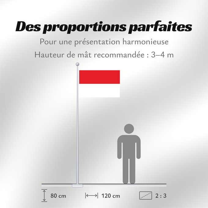 Proportions du drapeau : Salzburg Salzburg (state) Salzbourg Salzburgo Salisburgo