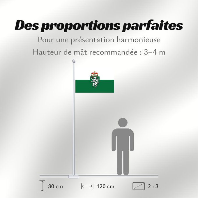 Proportions du drapeau : Styria White-green. Colours of the state of Styria Styrie Estiria Weiß-grün. Landesfarben der Steiermark Stiria