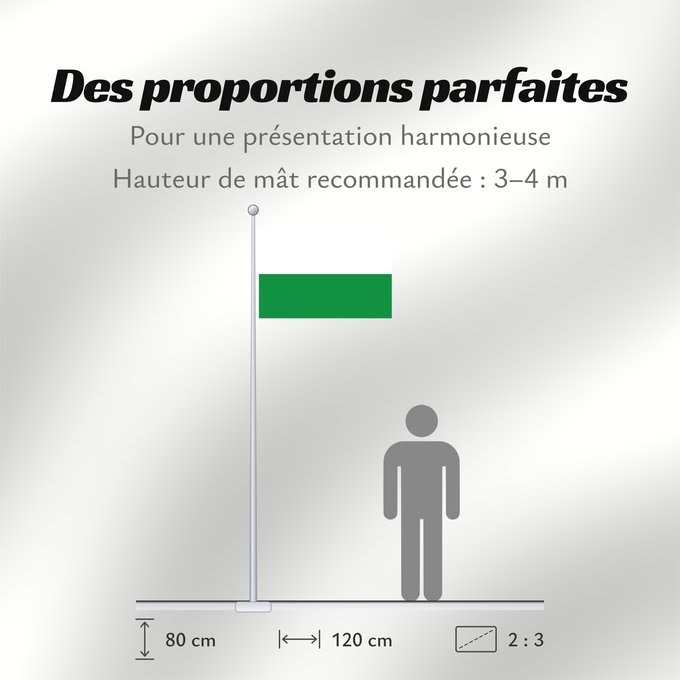 Proportions du drapeau : Styria	White-green. Colours of the state of Styria	Styrie	Estiria	Weiß-grün. Landesfarben der Steiermark	Stiria