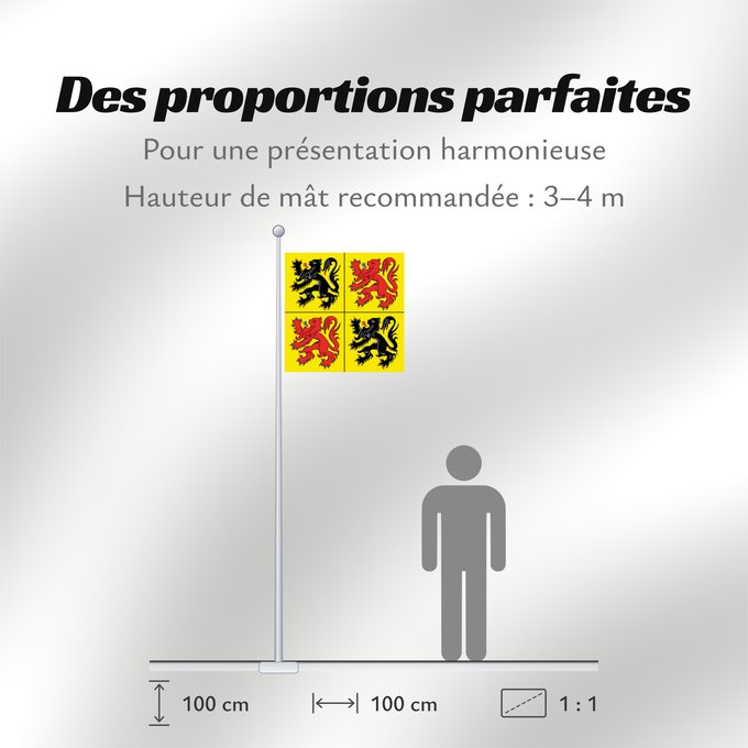 Proportions du drapeau : Hainaut Hainaut, province de la Belgique Henao Hennegaus, belgische Provinz Henegouwen, provincie van België