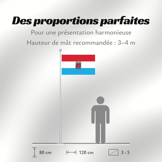 Proportions du drapeau : Province of Luxembourg Belgium This W3C-unspecified vector image was created with Adobe Illustrator Un drapeau non-officiel de la province de Luxembourg Belgique Luxemburgo (BE) Luxemburg (Belgien) Lussemburgo (BE)