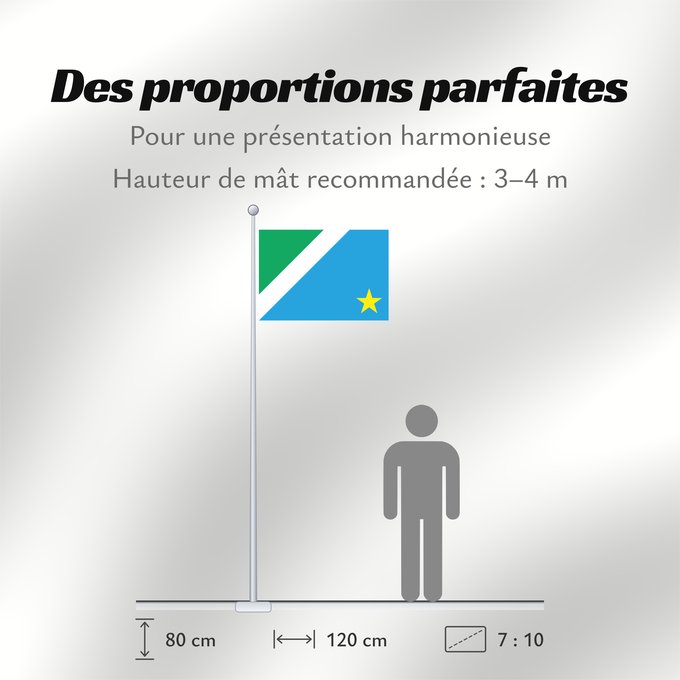Proportions du drapeau : Mato Grosso do Sul	Mato Grosso do Sul, Brazil	Mato Grosso del Sur
