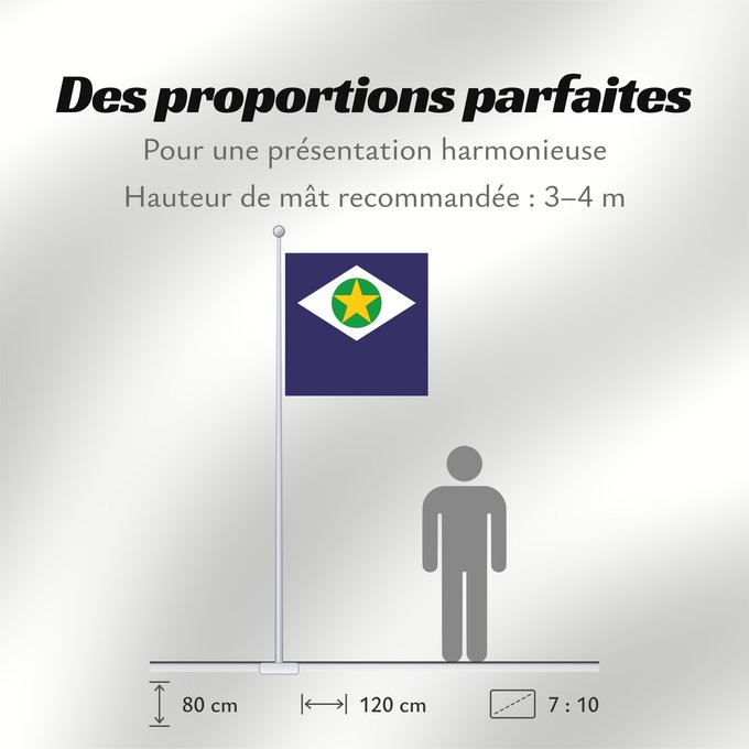 Proportions du drapeau : Mato Grosso State of Mato Grosso, Brazil Mato Grueso Mato Grosso, Brasil