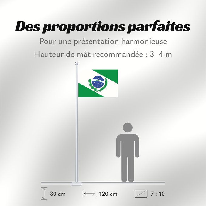 Proportions du drapeau : Paraná