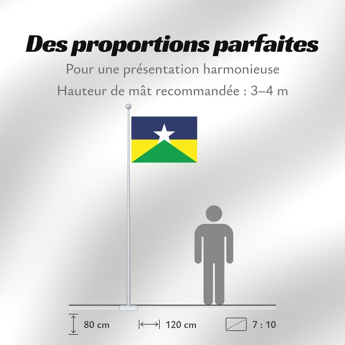 Proportions du drapeau : Rondônia