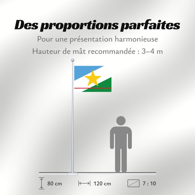 Proportions du drapeau : Roraima
