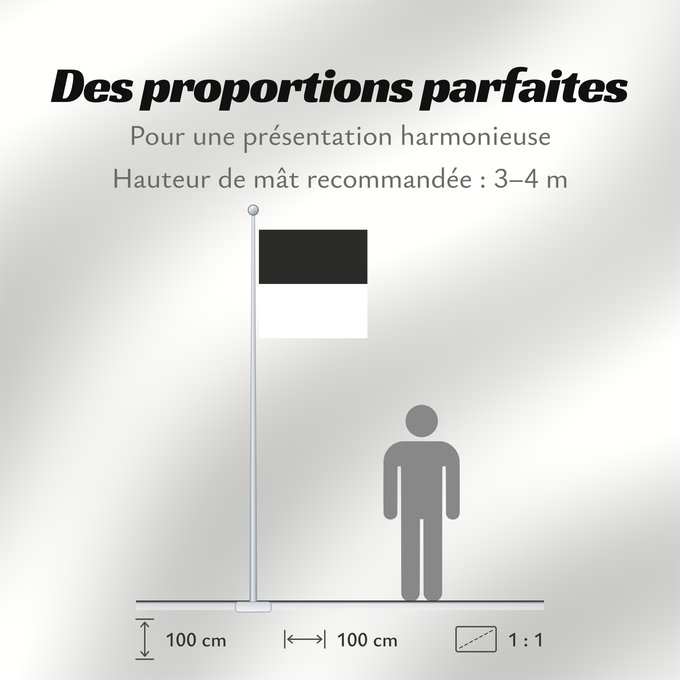Proportions du drapeau : Canton of Fribourg Fribourg Kanton Freiburg