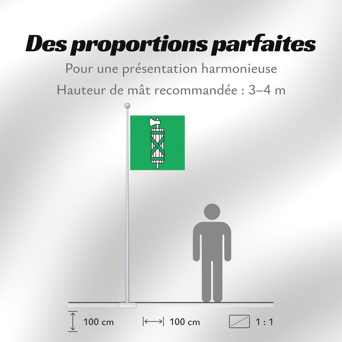 Proportions du drapeau : Canton of Sankt Gallen Canton of St. Gallen Saint-Gall San Galo o San Gall St. Gallen St. Gallen Canton of Sankt Gallen Saint Gallen