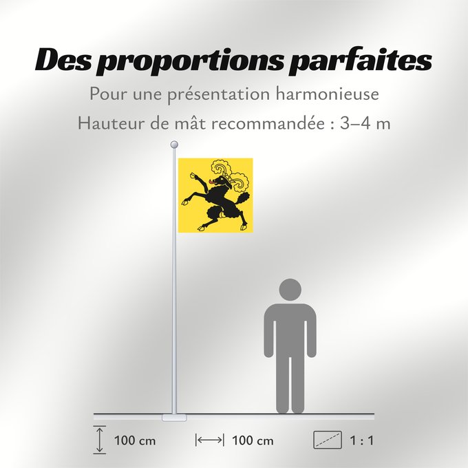 Proportions du drapeau : Canton of Schaffhausen Schaffhausen Schaffhouse Canton of Schaffhausen in Switzerland