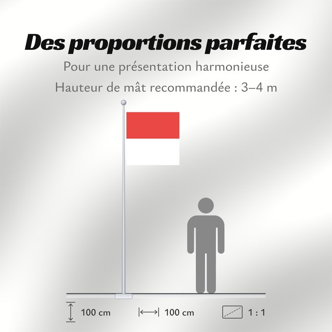 Proportions du drapeau : Canton of Solothurn	Canton of Solothurn  Switzerland	Soleure	cantón de Soleura	Kanton Solothurn	Soletta	Kanton Solothurn  Swiss