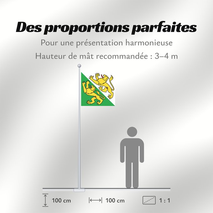 Proportions du drapeau : Canton of Thurgau Thurgau canton de Thurgovie cantón de Turgovia Canton of Thurgau in Switzerland