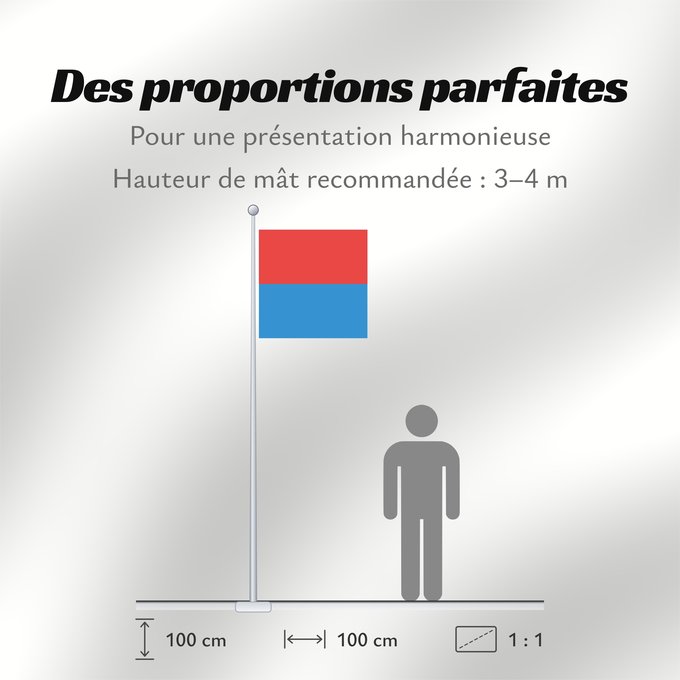 Proportions du drapeau : Canton of Tessin Canton Ticino or Ticino canton du Tessin Cantón del Tesino Ticino Canton of Tessin Switzerland