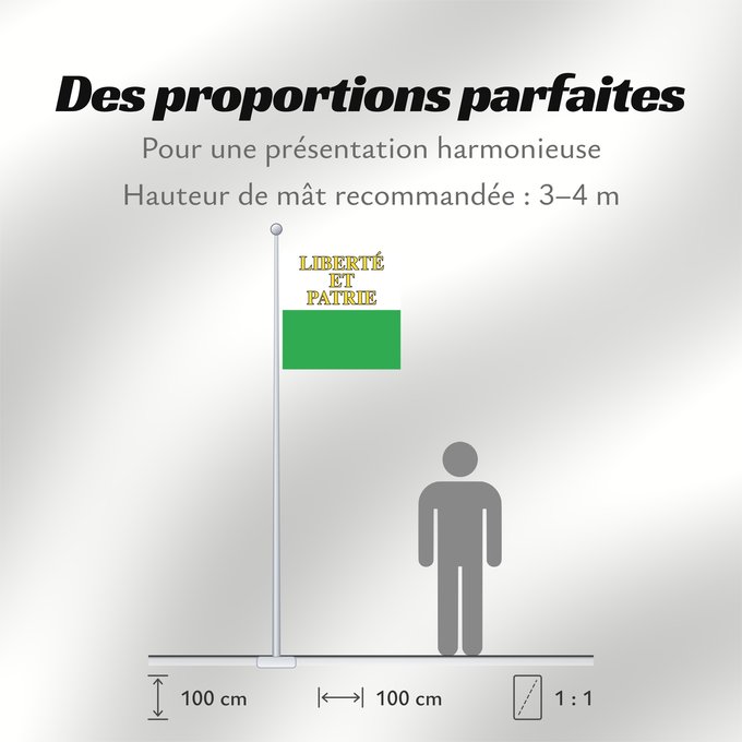 Proportions du drapeau : Canton of Vaud Vaud canton de Vaud República y cantón de Vaud Vaud