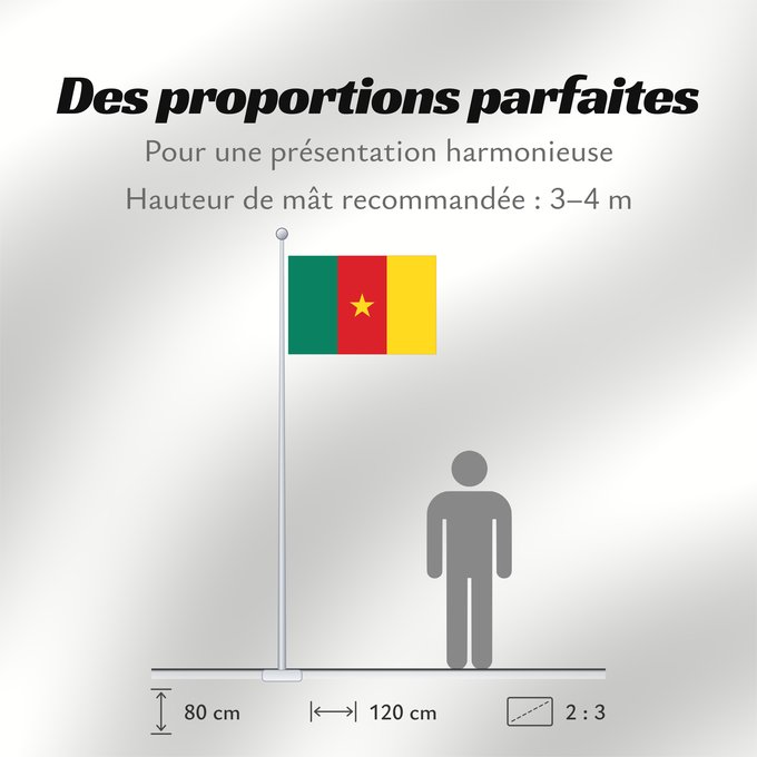 Proportions du drapeau : Cameroon	Cameroun	Camerún	Kamerun	Camerun	ক্যামেরুনের পতাকা।	Kamerunu	Kameruno	پرچم کامرون	Fändel vum Kamerun	Знаме на Камерун	Camerunului	Kameruna	Kameruns