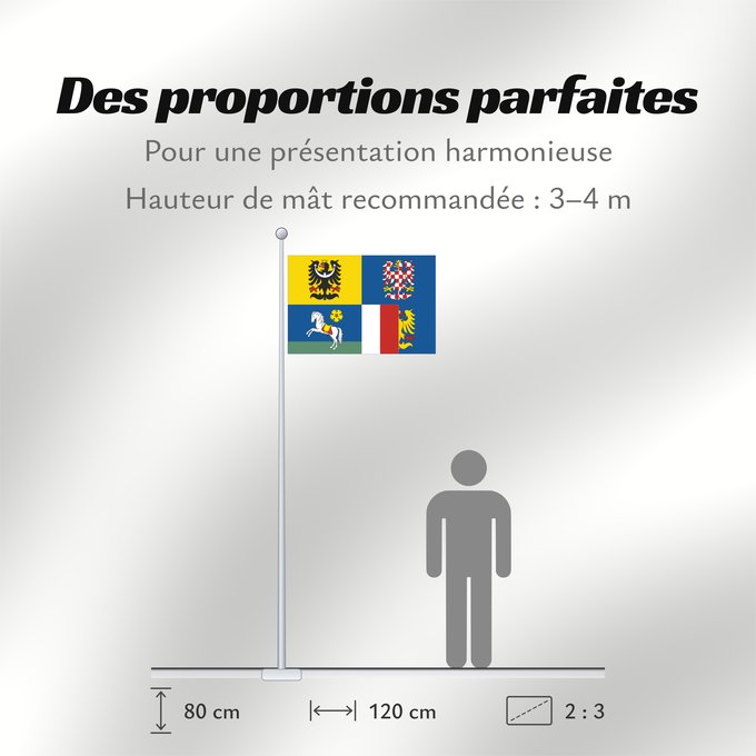 Proportions du drapeau : Moravian-Silesian Region	Région de Moravie-Silésie	Región de Moravia-Silesia	Moravian-Silesian	Moravskoslezského kraje čtvrcený list v horním žerďovém žlutém poli slezská orlice v dolním žerďovém modrém poli na zeleném trávníku