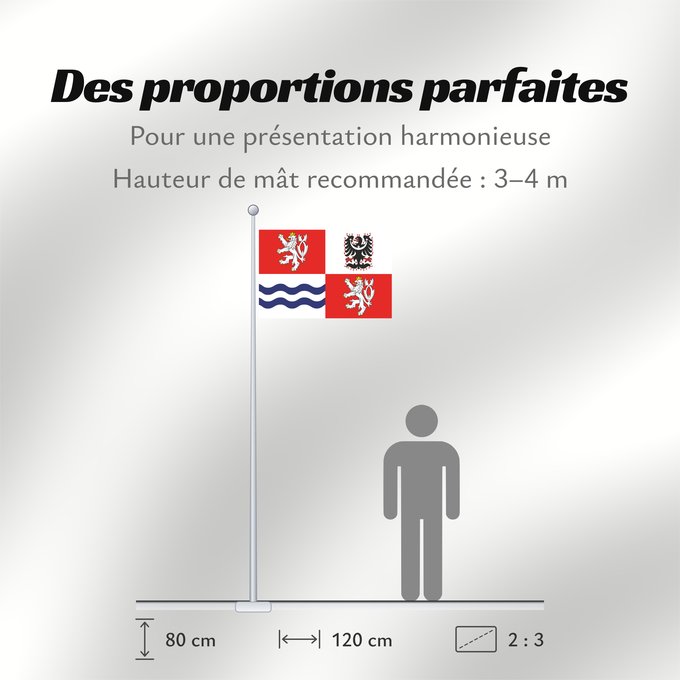 Proportions du drapeau : Central Bohemian Region Région de Bohême centrale Región de Bohemia Central Mittelböhmische Region
