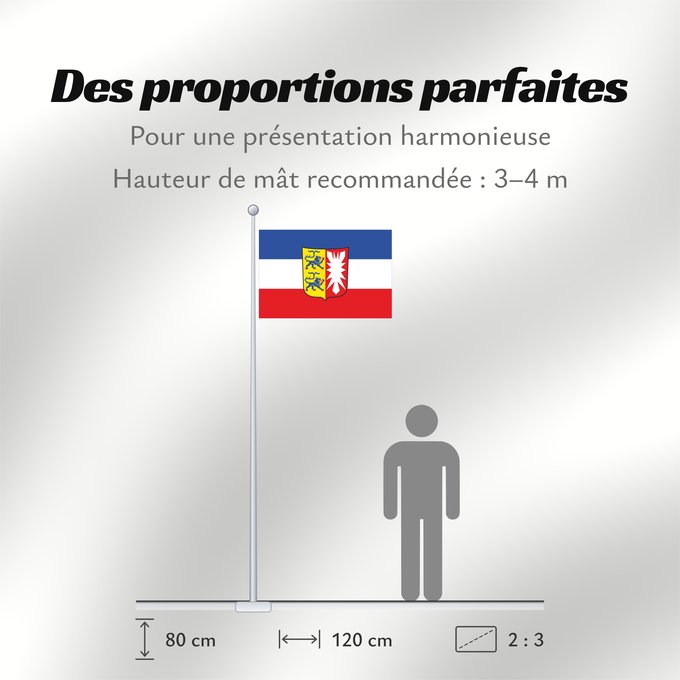 Proportions du drapeau : Schleswig-Holstein