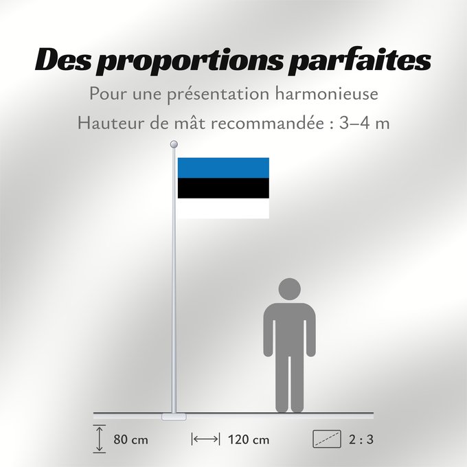 Proportions du drapeau : Estonia	L Estonie	Estland	Estone	Estónia	Estonii	Сцяг Эстоніі	Национално знаме на Естония	Estonská vlajka	Σημαία της Εσθονίας	Eesti lipp	پرچم کشور استونی	Viron	HEastóine	Észtország	エストニアの国旗	ესტონეთის დროშა	Estijos	Igaunijas	Знаме на Естонија	Estoniei	Флаг