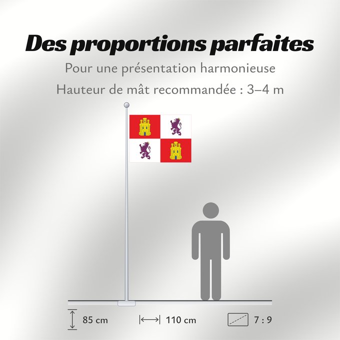 Proportions du drapeau : Castile and León	Autonomous community of Castile and León	Castille-et-León	Comunidad autónoma de Castilla y León	Kastilien und León	Castiglia e León