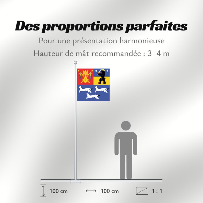 Proportions du drapeau : Länsi-Suomen lääni