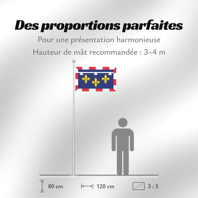 Proportions du drapeau : Centre-Val de Loire Unofficial flag of Centre region in France Non-officiel de la région Centre-Val de Loire en France Centro Centre Banniel anofisiel Kreiz-Traoñ al Liger e Frañs