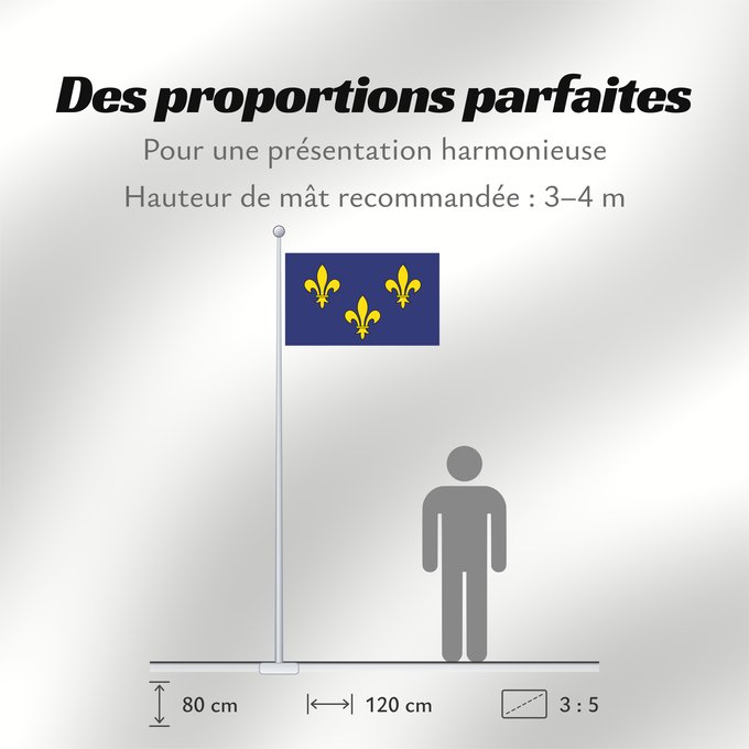 Proportions du drapeau : Île-de-France Unofficial Non-officiel de la région Île-de-France en France 이 것은 일드프랑스의 깃발입니다
