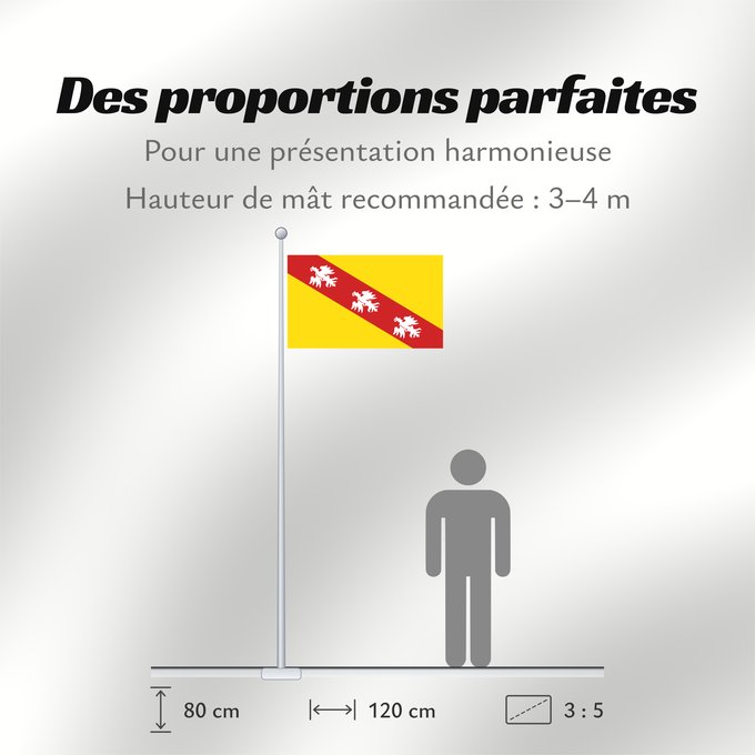 Proportions du drapeau : Lorraine	Region Lorraine in France	Région Lorraine en France	Lorena 	Lorena