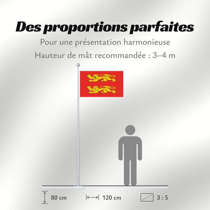 Proportions du drapeau : Basse-Normandie	Lower Normandy  Basse-Normandie	Basse- Normandie	Basse-Normandie 	Couleu de la Basse-Normaundie