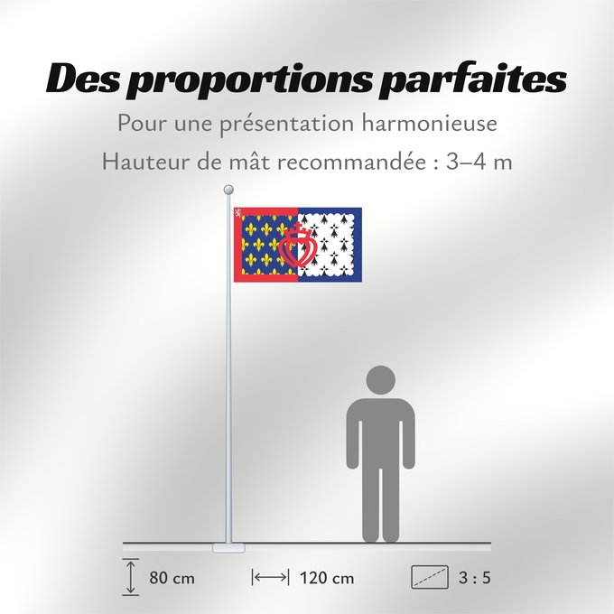Proportions du drapeau : Unofficial flag of Pays-de-la-Loire	Unofficial flag of the region Pays-de-la-Loire in France	Non officiel de la région Pays-de-la-Loire	Países del Loira	Pays de la Loire	Los Païses de Léger
