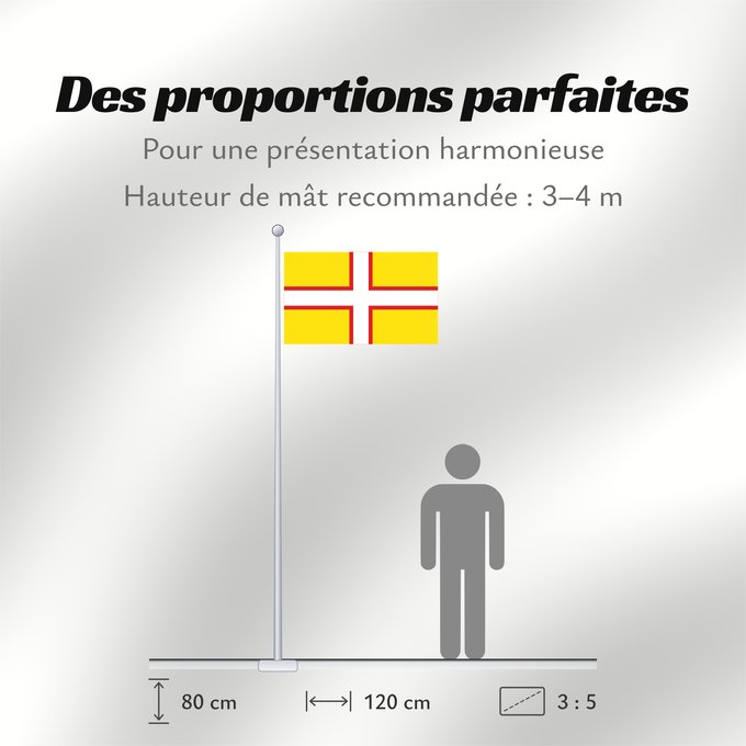 Proportions du drapeau : Dorset Dorset, England
