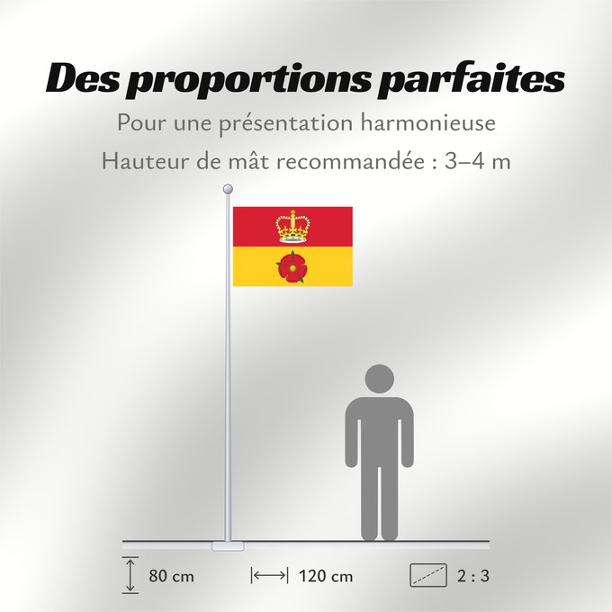 Proportions du drapeau : Hampshire	Hampshire County Council