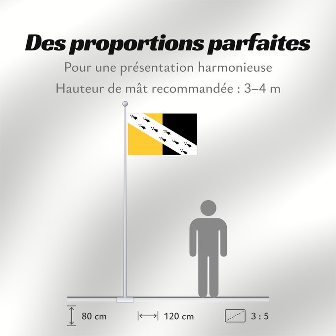 Proportions du drapeau : Norfolk