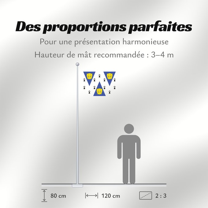 Proportions du drapeau : Shropshire