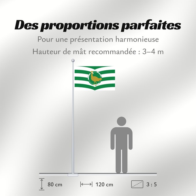 Proportions du drapeau : County Flag of Wiltshire Wiltshire Le Wiltshire