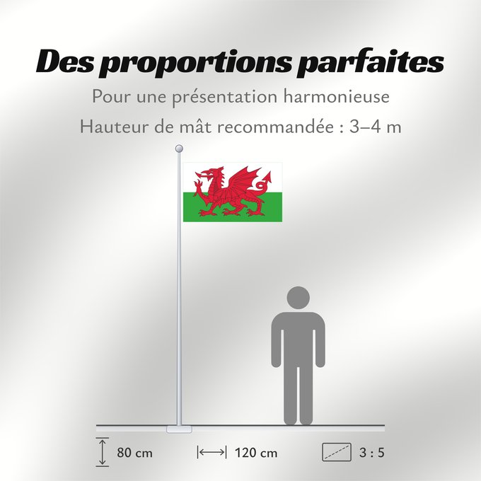 Proportions du drapeau : Wales 2 Wales Pays de Galles Gales Wale Galles Walii Wīelisc Fana علم ويلز Banniel Kembre Cymru Galesko bandera Walesin Breataine Bige Brattag Vretin Walesa Kembra Valliae Знаме на Велс Couleu de Galles Флаг Уэльса Прапор Уельсу