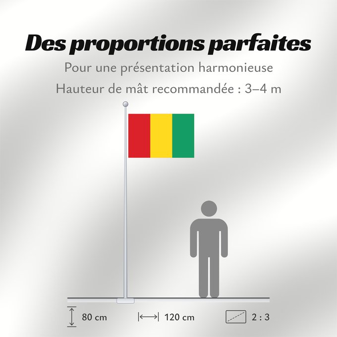 Proportions du drapeau : Guinea	Guinée