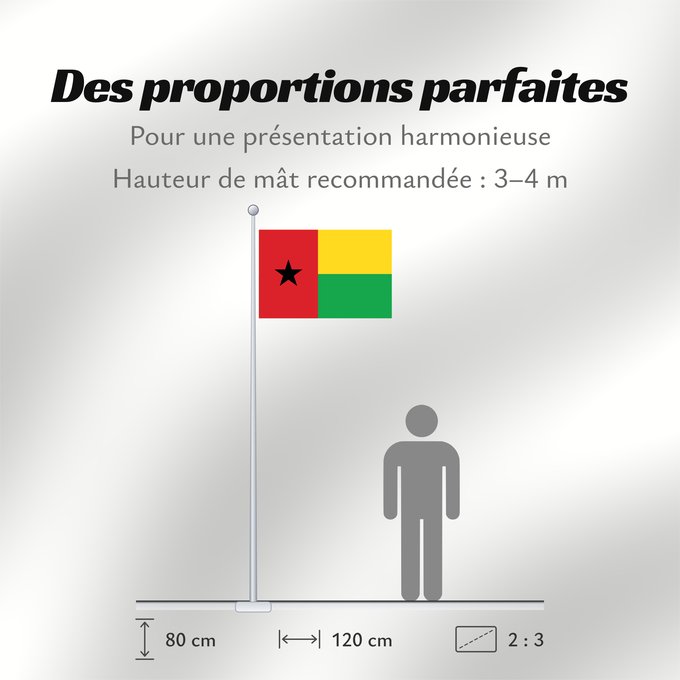 Proportions du drapeau : Guinea-Bissau	Guinée-Bissau	Guinea-Bissaus	Guiné-Bissau	Gvineo Bisaŭa	پرچم گینه بیسائو	Флаг Гвинеи-Бисау	Gvineje Bissau