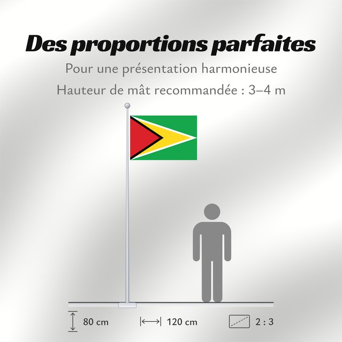 Proportions du drapeau : Guyana Guiana Wayana wiphala Gujano Gwayana Wayana unancha Флаг Гайаны Guyanas Quốc kỳ Guyana