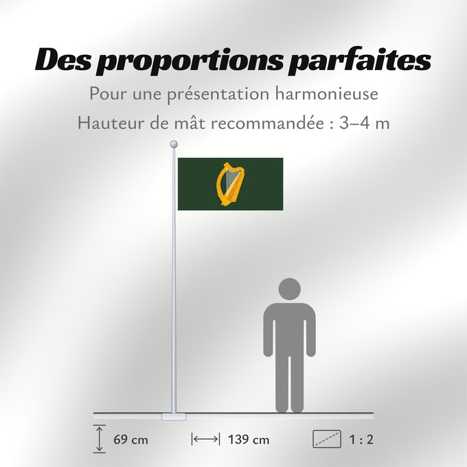 Proportions du drapeau : Leinster	W Leinster