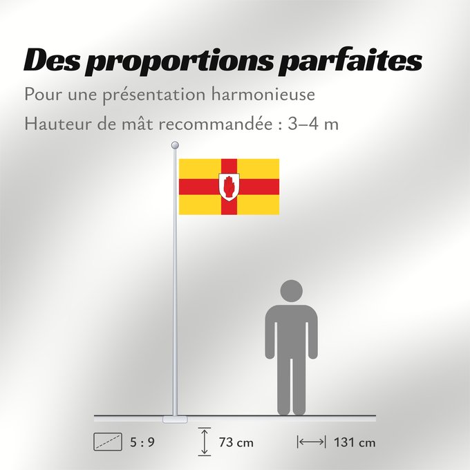Proportions du drapeau : Ulster	Ulster  heraldic banner of traditional coat of arms of the province	Úlster 