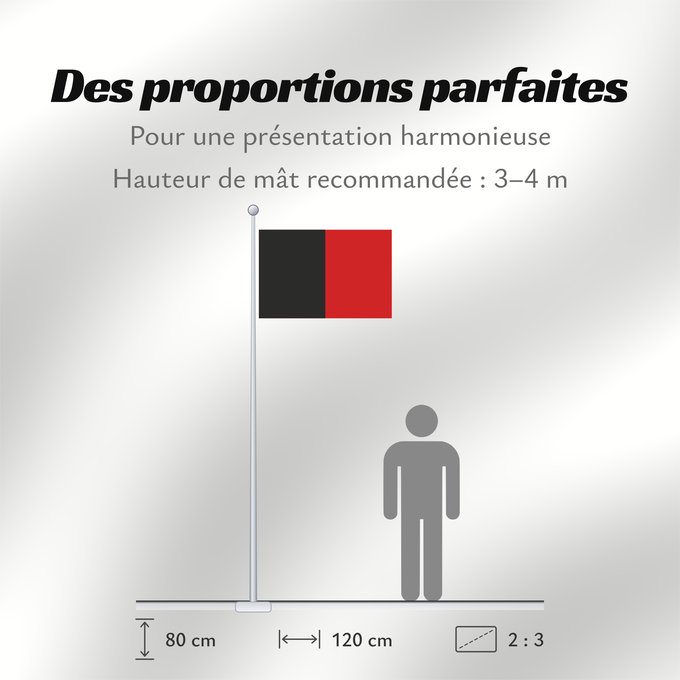 Proportions du drapeau : Valle d'Aosta, Vallée d'Aoste (fr)