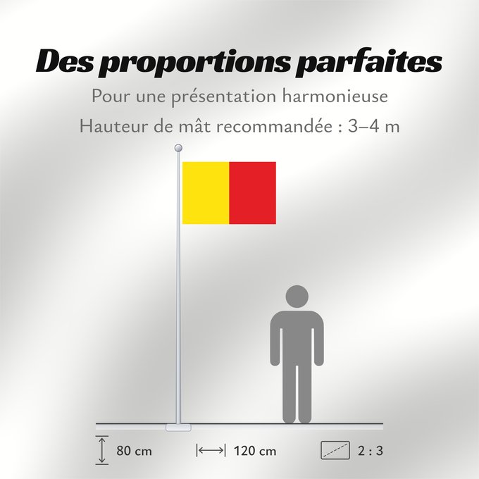 Proportions du drapeau : Naples	Province of Naples	Province de Naples	Provincia de Naples	Provinz Naples	Napoli