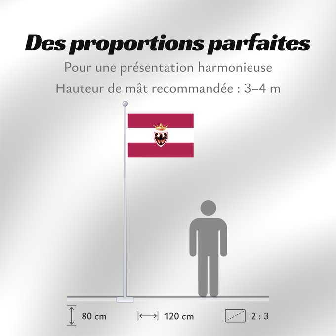 Proportions du drapeau : Trento Province Autonomous Province of Trento - Trentino Province Autonome de Trente - Trentin Provincia Autónoma de Trento - Trentino Autonomen Provinz Trient - Trentino/Welschtirol Provincia Autonoma di Trento - Trentino Autonome Provincie Trente - Tren