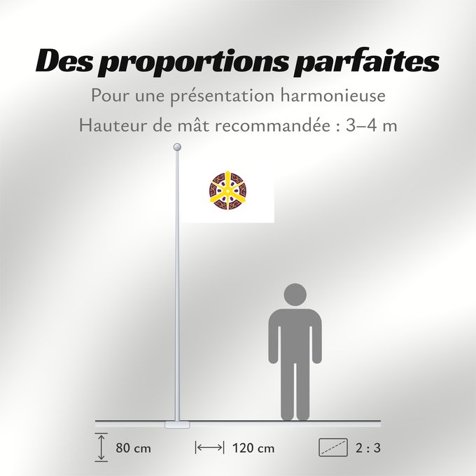 Proportions du drapeau : Kyoto City	Kyôto City	Kyōto ou Kyoto	Kioto	Kyōto	De Kyôto  Quioto	京都市旗	京都市旗 / 교또시기	​京都市旗